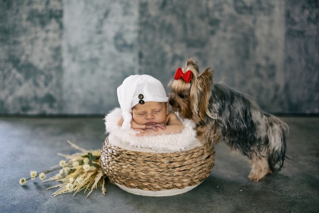 recién nacido junto a un perro