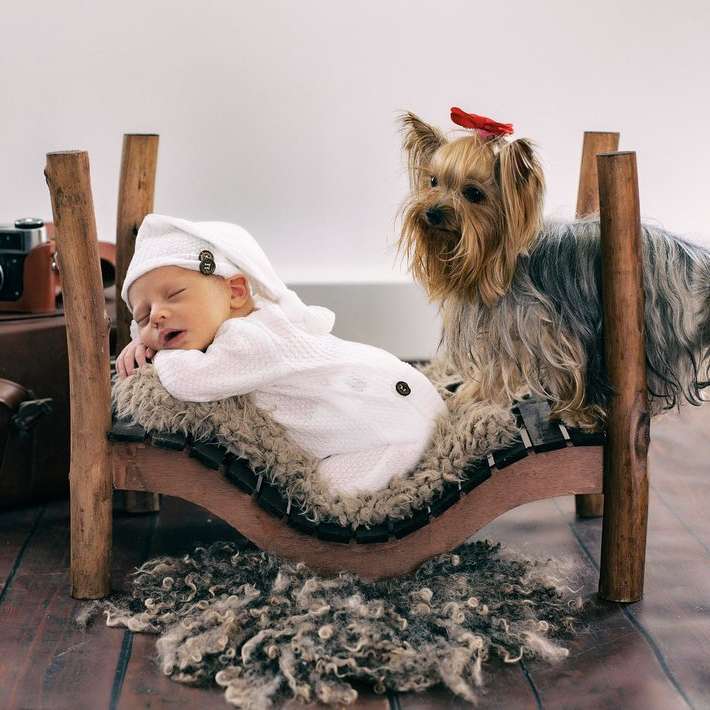recién nacido junto a un perro